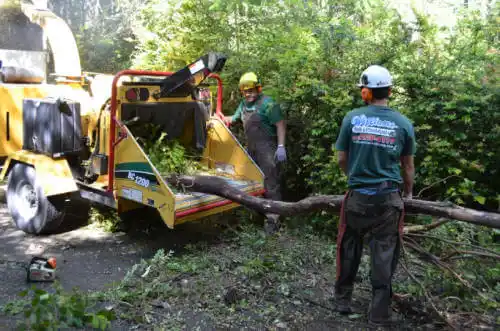 tree services Rathdrum